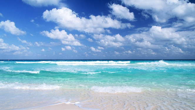 一张美味的图片 &middot; #2266