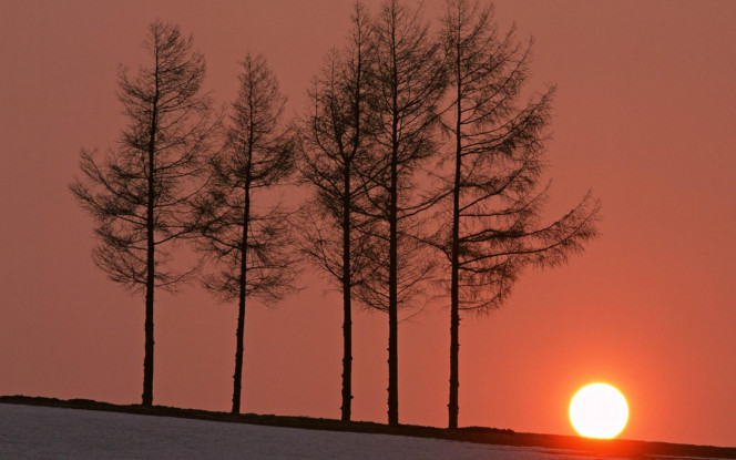 一张美味的图片 &middot; #1294