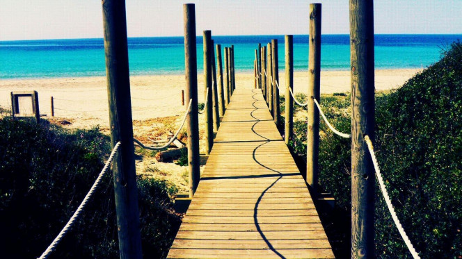 一张美味的图片 &middot; #2806