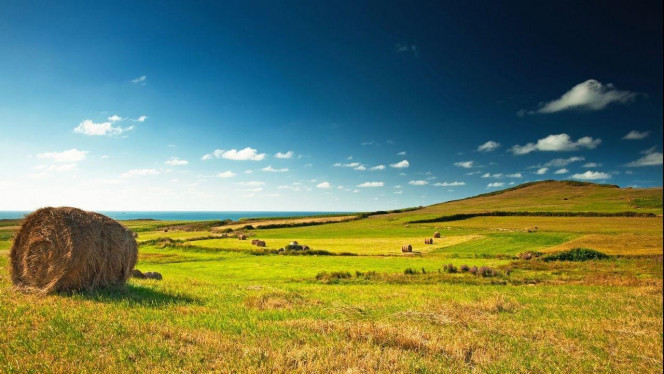 一张美味的图片 &middot; #2588