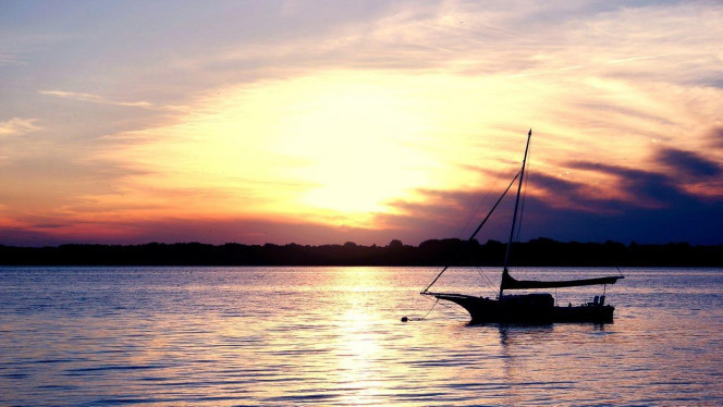 一张美味的图片 &middot; #3495