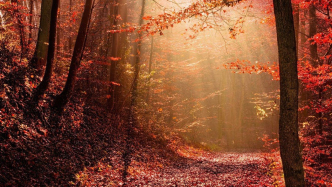 一张美味的图片 &middot; #3328