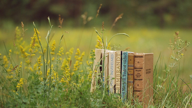 一张美味的图片 &middot; #3577