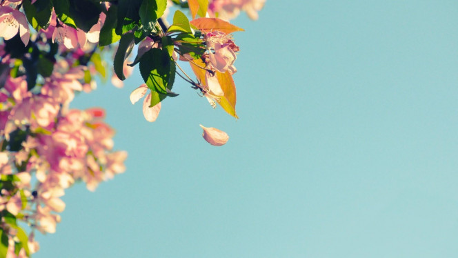 一张美味的图片 &middot; #4579