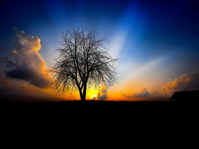 一张美味的图片 &middot; #1557