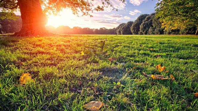 一张美味的图片 &middot; #2971