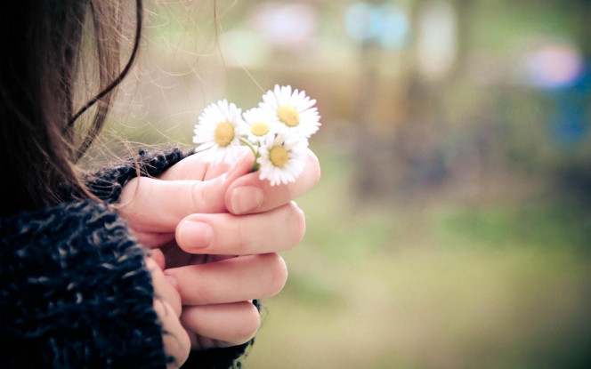 一张美味的图片 &middot; #3457