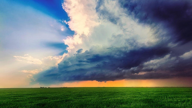 一张美味的图片 &middot; #2918