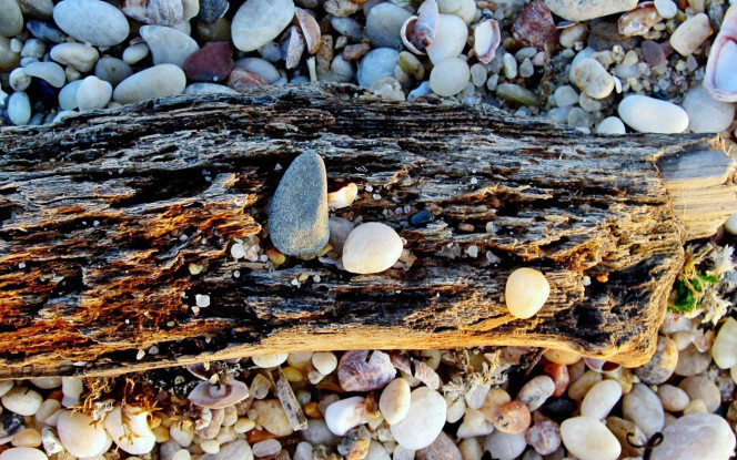 一张美味的图片 &middot; #2827