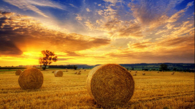 一张美味的图片 &middot; #2592