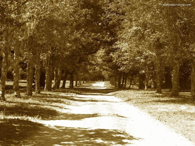 一张美味的图片 &middot; #952