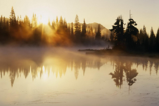 一张美味的图片 &middot; #1231