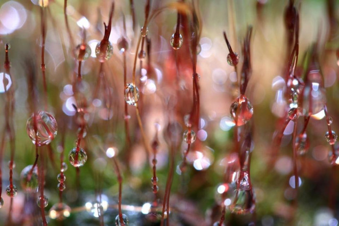 一张美味的图片 &middot; #2852