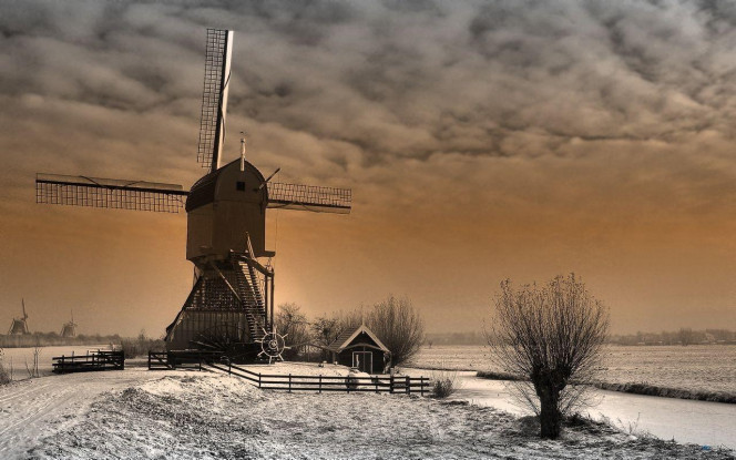 一张美味的图片 &middot; #3044