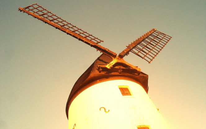 一张美味的图片 &middot; #1567