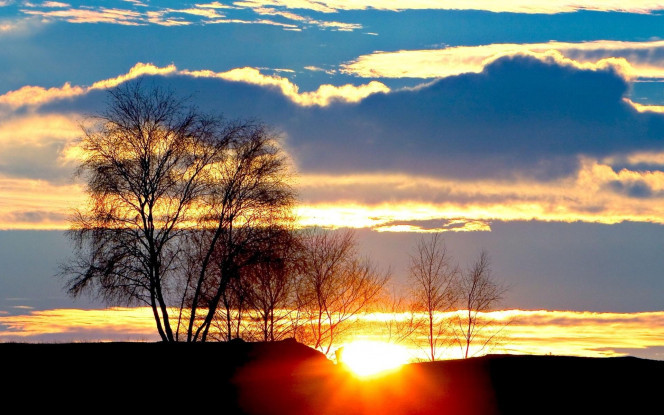 一张美味的图片 &middot; #1029