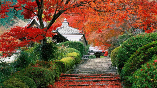 一张美味的图片 &middot; #2329