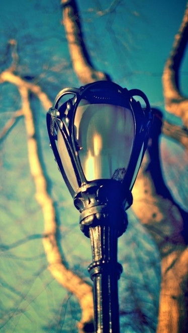 一张美味的图片 &middot; #144