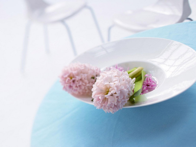 一张美味的图片 &middot; #3593