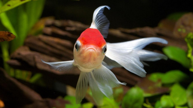 一张美味的图片 &middot; #2819