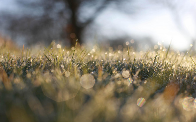 一张美味的图片 &middot; #76