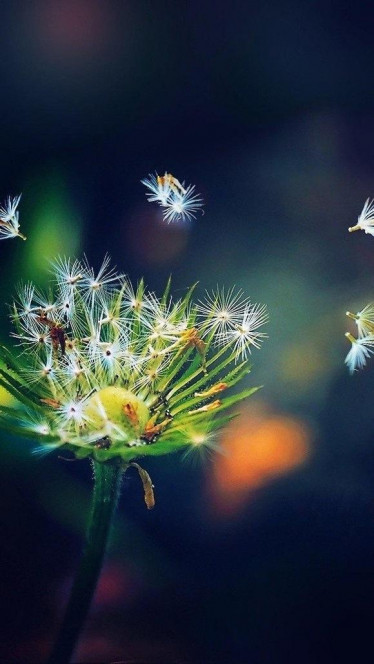 一张美味的图片 &middot; #138