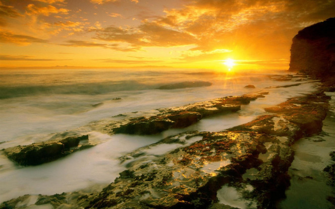 一张美味的图片 &middot; #1433