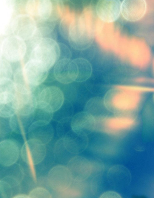 一张美味的图片 &middot; #248