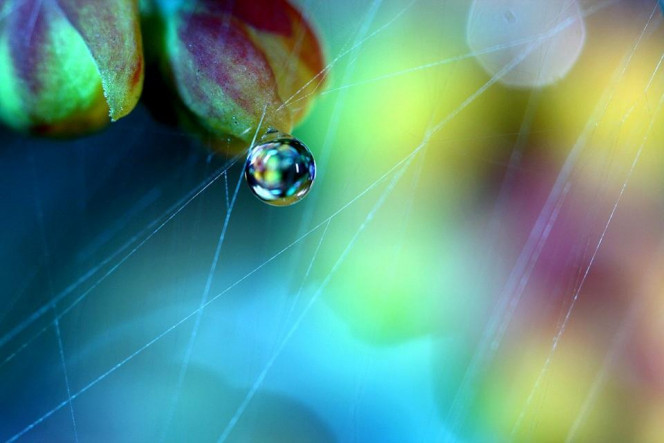 一张美味的图片 &middot; #2834