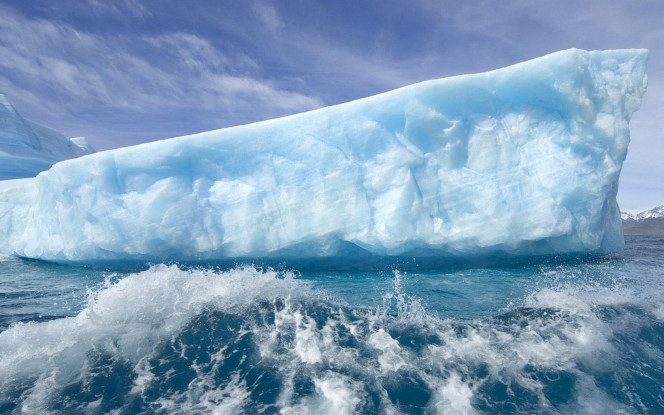 一张美味的图片 &middot; #2421