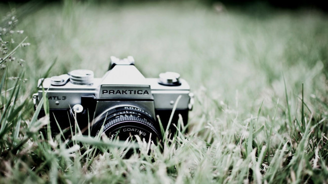 一张美味的图片 &middot; #3419