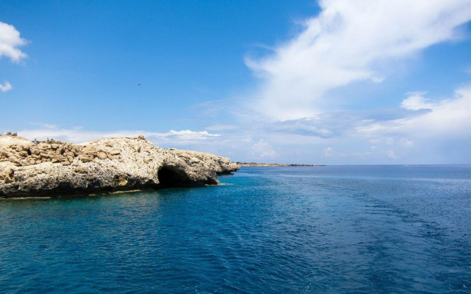 一张美味的图片 &middot; #2795