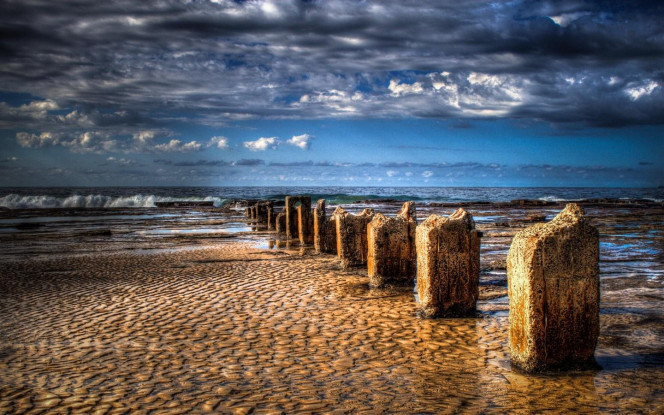 一张美味的图片 &middot; #2491