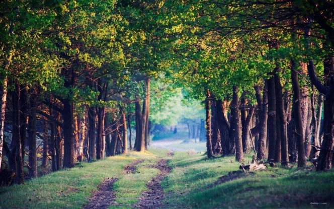 一张美味的图片 &middot; #2055