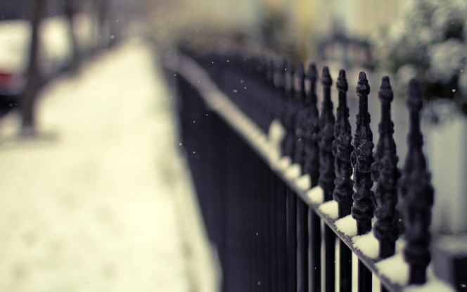 一张美味的图片 &middot; #96