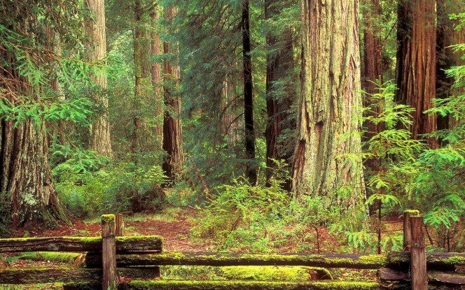 一张美味的图片 &middot; #2720