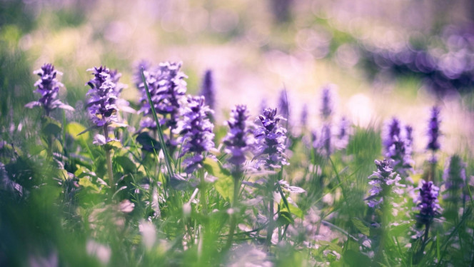 一张美味的图片 &middot; #2403