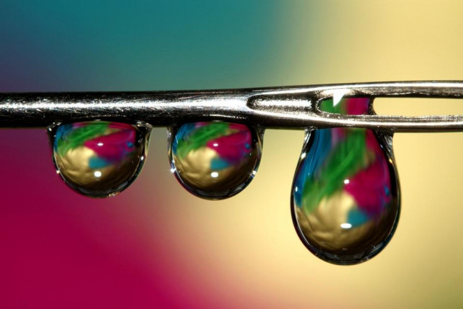 一张美味的图片 &middot; #2853