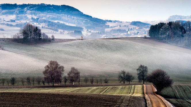 一张美味的图片 &middot; #4412