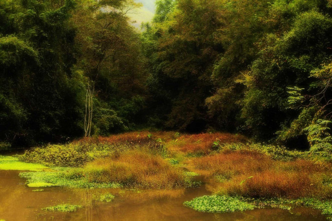 一张美味的图片 &middot; #1438