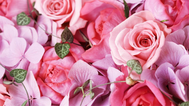 一张美味的图片 &middot; #3233