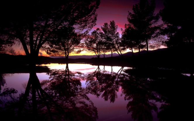 一张美味的图片 &middot; #1466