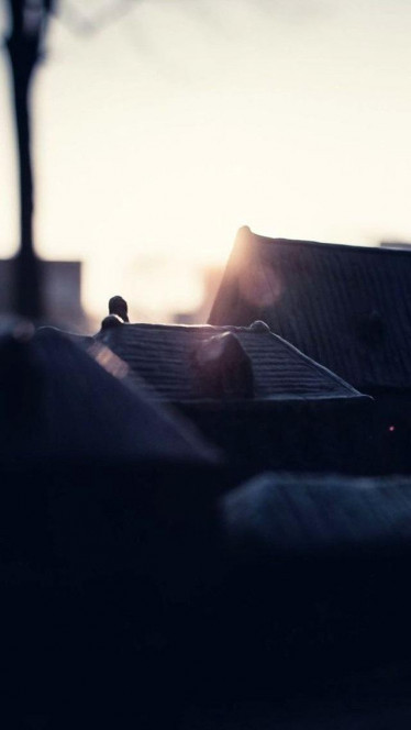 一张美味的图片 &middot; #185