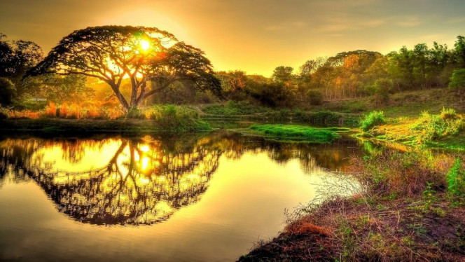 一张美味的图片 &middot; #3781