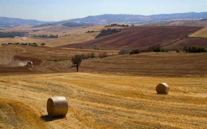 一张美味的图片 &middot; #3651