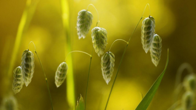 一张美味的图片 &middot; #2902