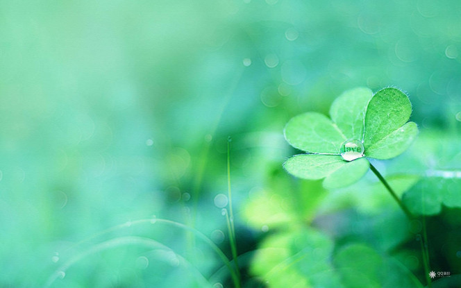 一张美味的图片 &middot; #13