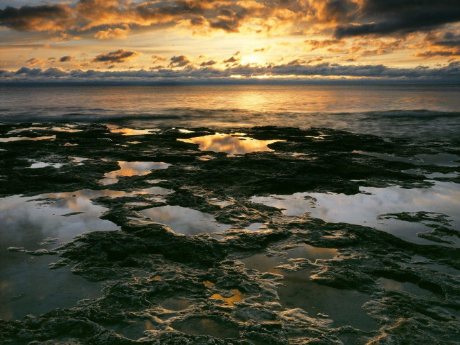 一张美味的图片 &middot; #976