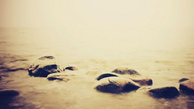 一张美味的图片 &middot; #2721