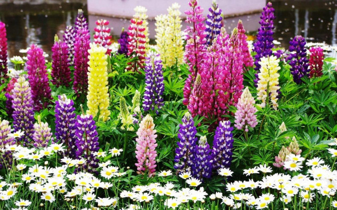 一张美味的图片 &middot; #2208